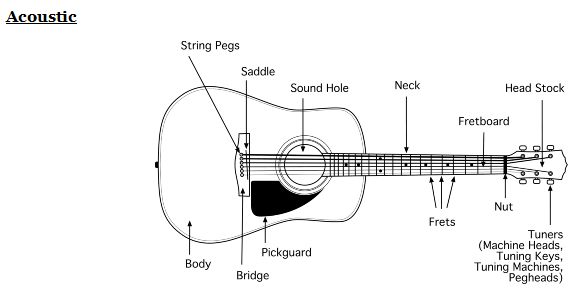 Acoustic Guitar Diagram